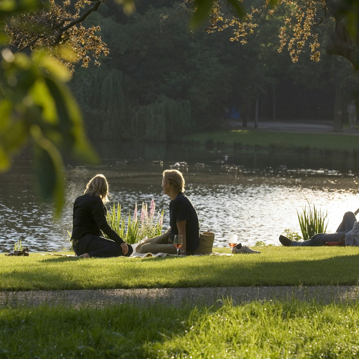 Picnic in Vondelpark in afternoon light.