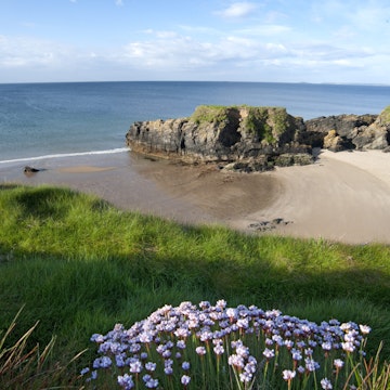 Overview of sheltered Goat Island beach, Ardoginna.