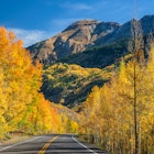 a road through fall leaves in colorado.jpg