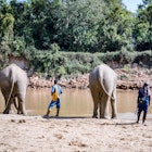 Elephant with Mahouts at Anantara Golden Triangle