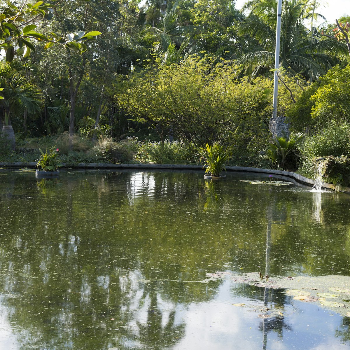 The Miami Beach Botanical Garden
1007098088
the miami beach botanical garden, garden