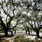 The Whitney Plantation in Wallace, Louisiana has been opened to the public as a historical slave plantation and museum