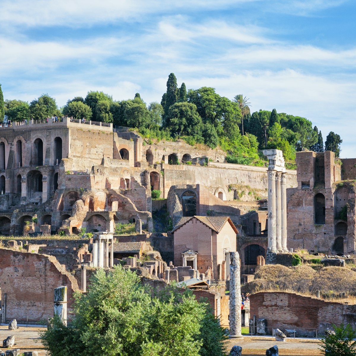 Farnese Gardens built a top Domus Tiberiana on Palatine Hill at the Roman forum in Rome, Italy.