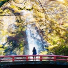 Minoh waterfall in autumn season, Osaka Japan
639787962
Mino, Travel, Kinki Region, Tourism, Women, Females, Beauty In Nature, Arranging, Osaka Prefecture, Falling, Scenics, Multi Colored, Red, Cultures, National Landmark, Famous Place, Nature, Tourist, People, Kyoto Prefecture, Tokyo Prefecture, Japan, Leaf, Maple Tree, Tree, Autumn, Season, Mountain, Forest, Landscape, Waterfall, Water, Park - Man Made Space, foliagé, Minoh, Minoo