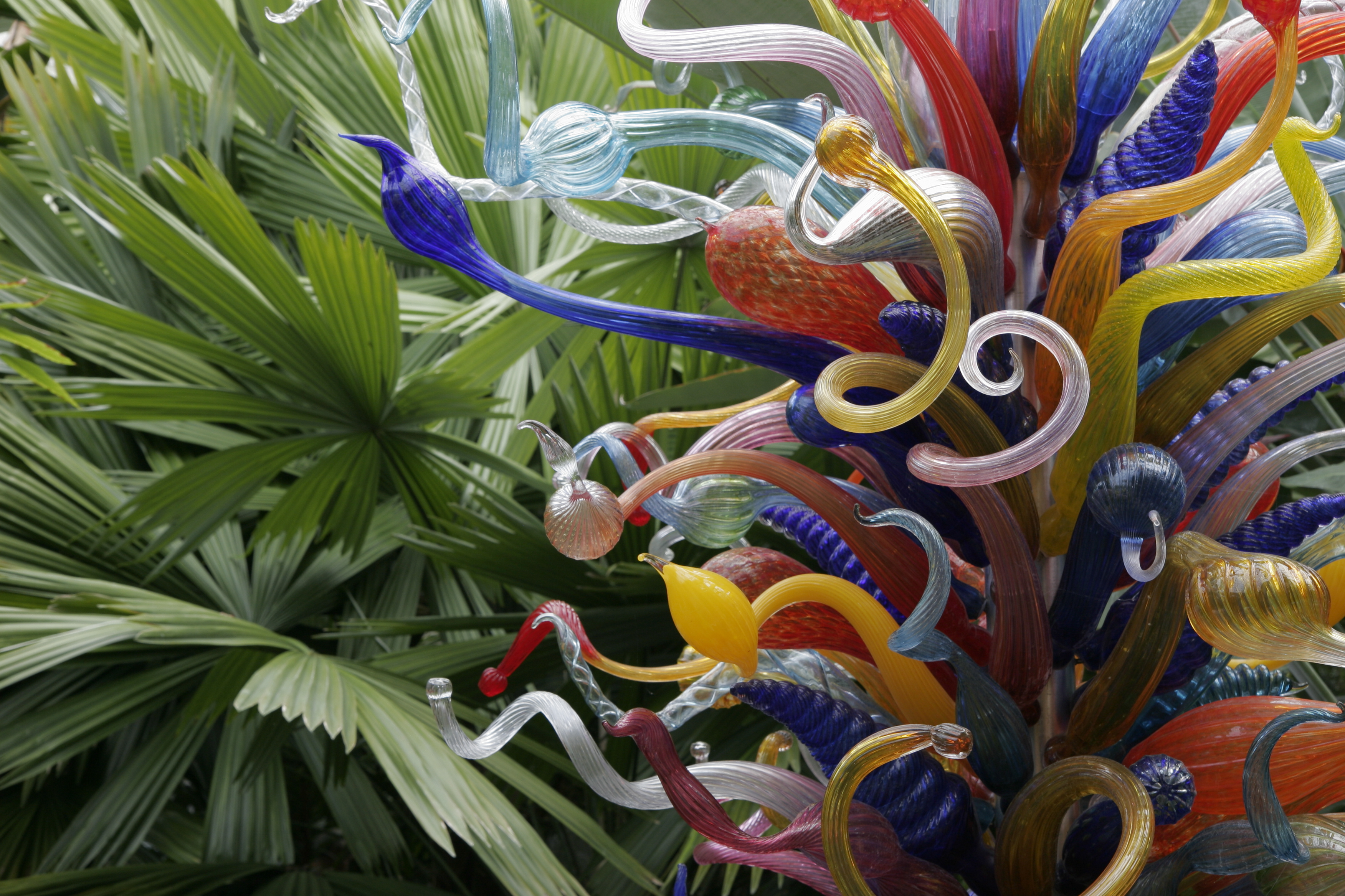 Chihuly glass art at Fairchild Tropical Botanic Garden