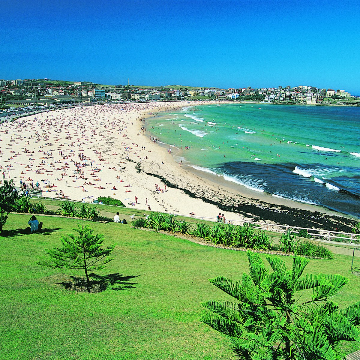 Bondi Beach, New South Wales, Australia