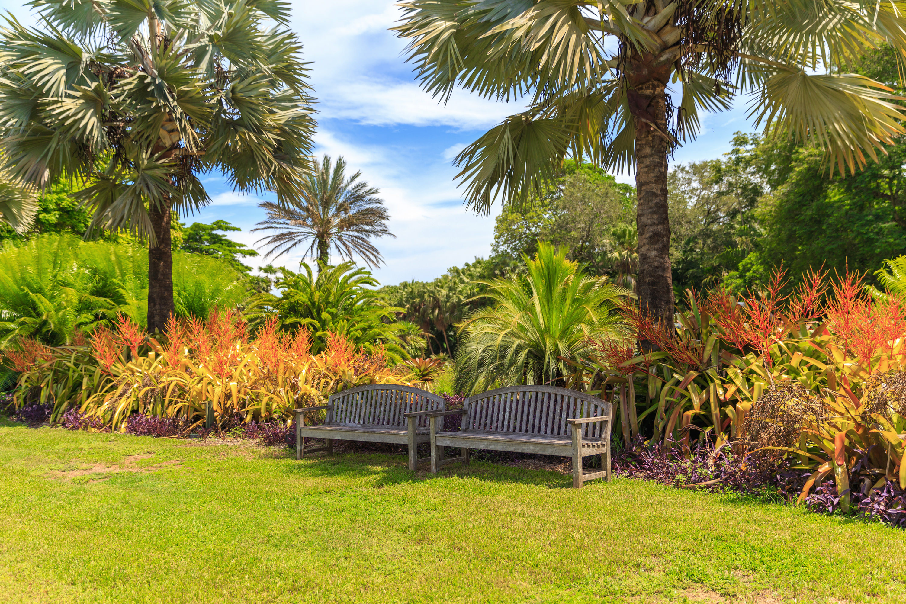 Fairchild tropical botanic garden, Miami, FL, USA