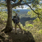 A hiker pauses at a lookout point over a tree-covered valley on the Appalachian Trail in Georgia.