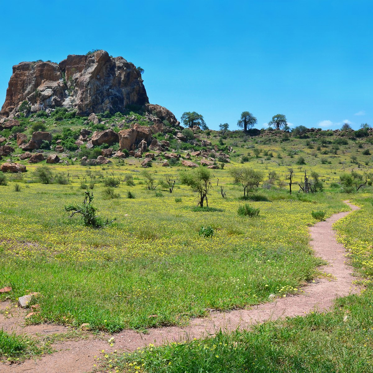 Landscape in Mapungubwe National Park, South Africa.