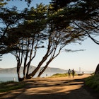 Presidio, San Francisco; Shutterstock ID 1202089318; purchase_order: 65050; job: Online Editorial; client: First Time Presidio; other: Bailey Freeman
1202089318
People walk on a trail at the Presidio National Park site, San Francisco, California.