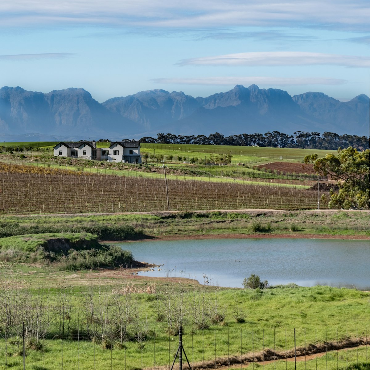 Landscape of Meerendal Wine Estate.