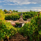 Vineyard and the town of Saint Julien in region Beaujolais, France, License Type: media, Download Time: 2024-10-04T17:47:46.000Z, User: tasminwaby56, Editorial: false, purchase_order: 65050, job: Online Editorial, client: Beaujolais First Time, other: Tasmin Waby