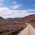 path with green vegetation and  purple heather alongside, hills at the distance, blue sky with white clouds, License Type: media, Download Time: 2024-08-13T16:57:36.000Z, User: robinbarton170, Editorial: false, purchase_order: 56530, job: Global Publishing-WIP, client: 100 Weekends in Europe 1, other: Robin Barton