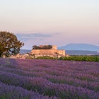 Château de Grignan, lavender fields and Mont Ventoux in the background , License Type: media, Download Time: 2024-09-14T19:30:28.000Z, User: tasminwaby56, Editorial: false, purchase_order: 65050, job: Online Editorial, client: France's prettiest villages, other: Tasmin Waby