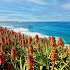 Scripps pier in La Jolla, California, License Type: media_digital, Download Time: 2024-09-10T11:59:07.000Z, User: clairenaylor, Editorial: false, purchase_order: 65050, job: Online editorial, client: San Diego perfect weekend, other: Claire Naylor