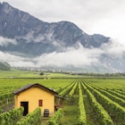 Vineyard in Valais canton, near Sierre, Sion and Martigny, Switzerland; Shutterstock ID 253309927; purchase_order: 65050; job: Lonely Planet Online Editorial; client: Best places in Valais; other: Brian Healy
253309927
agricultural, agriculture, alpine, alps, building, chalet, cloud, cloudy, cottage, countryside, cultivation, culture, field, fresh, fruit, grape, green, grow, growing, harvest, hill, house, hut, landscape, mist, misty, mountain, nature, outdoor, pastoral, pole, produce, rain, rainy, ripe, row, rural, scene, scenery, scenic, summer, swiss, town, travel, valais, valley, village, vines, wine, winery
Vineyard in Valais canton, near Sierre, Sion and Martigny, Switzerland