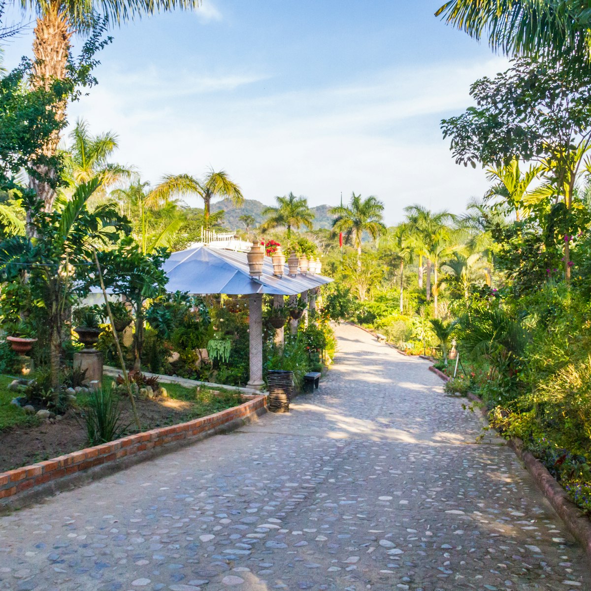 Puerto Vallarta Botanical Garden.