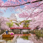 Himeji, Japan at Himeji Castle in spring season.; Shutterstock ID 776445706; your: Ben Buckner; gl: 65050; netsuite: Online Editorial; full: Back to the best of Japan
776445706