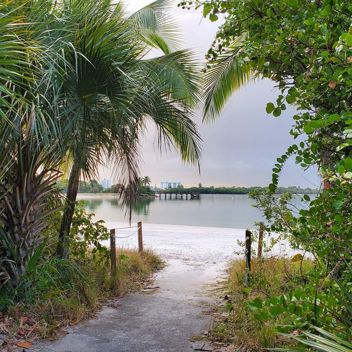 Beach entrance at Oleta River State Park in North Miami Beach, FL
1626556522
beach, beach scene, beautiful, biscayne bay, day, florida, green, landscape, miami beach, nature, outdoor, park, scenery, scenic, state park, tourism, travel, tree, trees, water