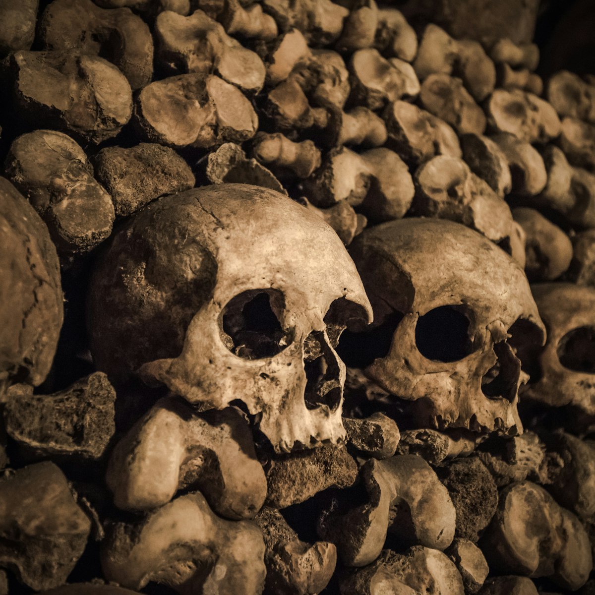 Skulls and bones in Paris Catacombs