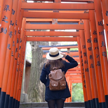 10-February-2017 Tokyo, Japan: Woman tourist is walking and sightseeing inside the Vermilion Torii Gates In Hanazono Inari Shrine, Ueno Park in Tokyo, Japan.; Shutterstock ID 692641990; your: Ben N Buckner; gl: 65050; netsuite: Online Editorial; full: Tokyo Walking