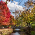 Cozy riverbank vibes in Lambertville, New Jersey, USA.