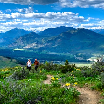 Meadows in North Cascades National Park, Winthrop, Washington.